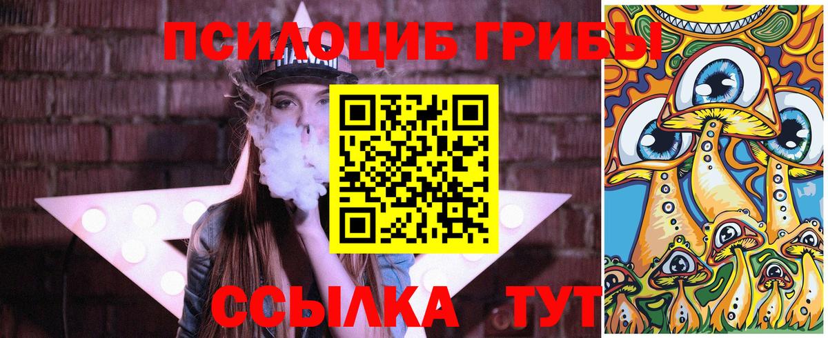 Псилоцибиновые грибы MAGIC MUSHROOMS Будённовск