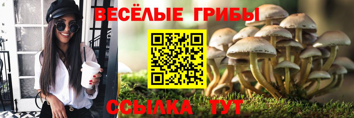Псилоцибиновые грибы GOLDEN TEACHER  Вход с VPN  что такое наркотик  Будённовск 